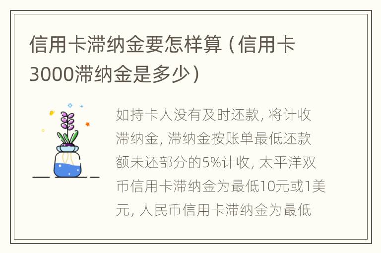 信用卡滞纳金要怎样算（信用卡3000滞纳金是多少）