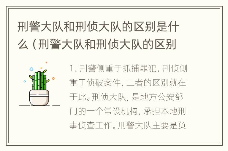 刑警大队和刑侦大队的区别是什么（刑警大队和刑侦大队的区别是什么意思）