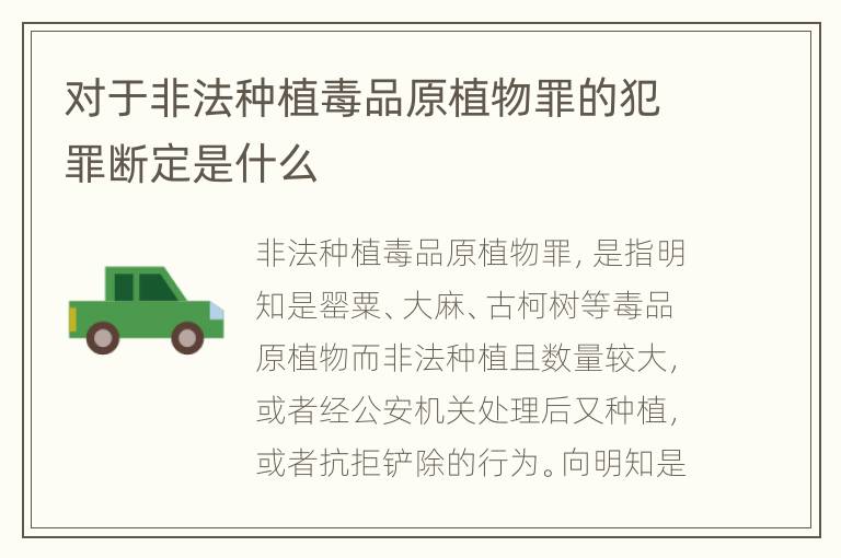 对于非法种植毒品原植物罪的犯罪断定是什么