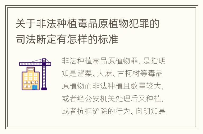 关于非法种植毒品原植物犯罪的司法断定有怎样的标准