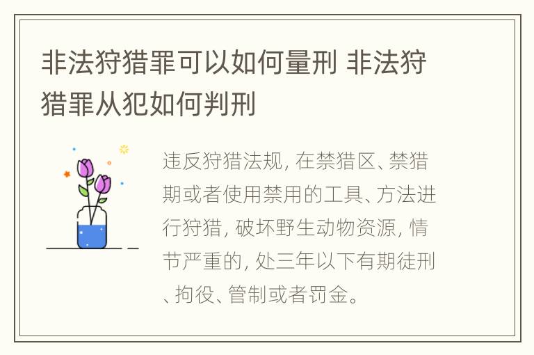 非法狩猎罪可以如何量刑 非法狩猎罪从犯如何判刑