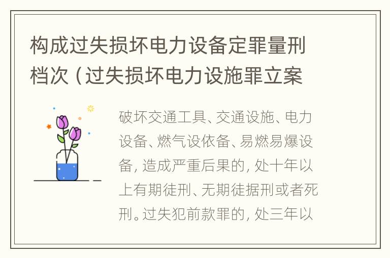 构成过失损坏电力设备定罪量刑档次（过失损坏电力设施罪立案标准）