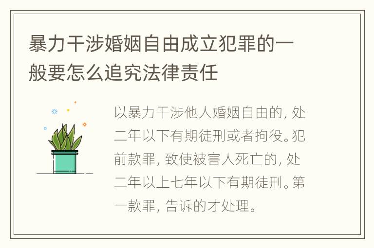 暴力干涉婚姻自由成立犯罪的一般要怎么追究法律责任