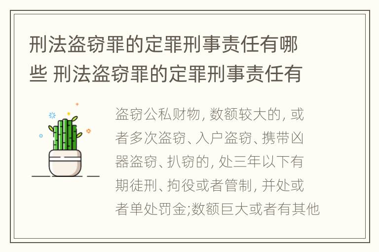 刑法盗窃罪的定罪刑事责任有哪些 刑法盗窃罪的定罪刑事责任有哪些