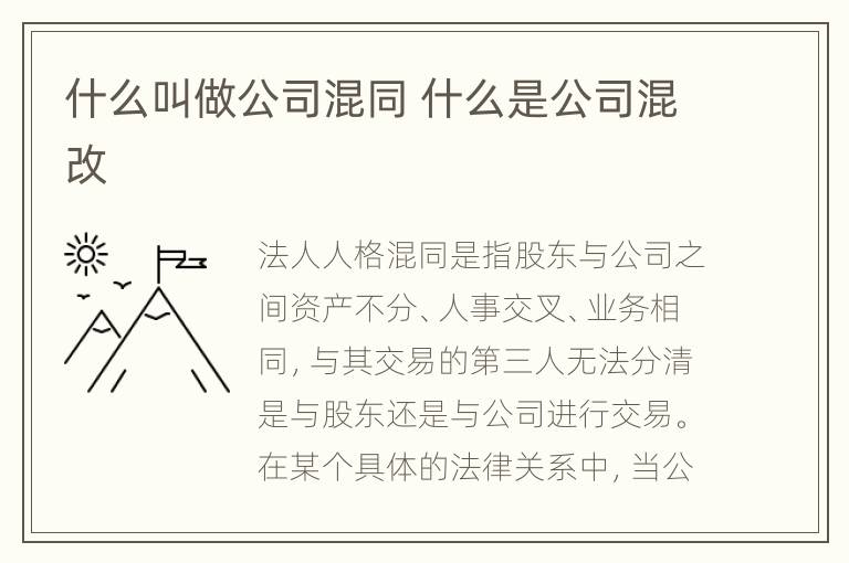 什么叫做公司混同 什么是公司混改