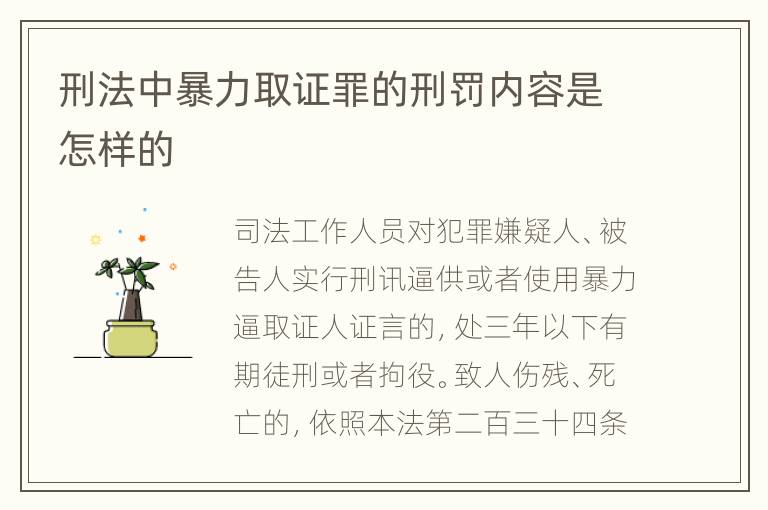 刑法中暴力取证罪的刑罚内容是怎样的