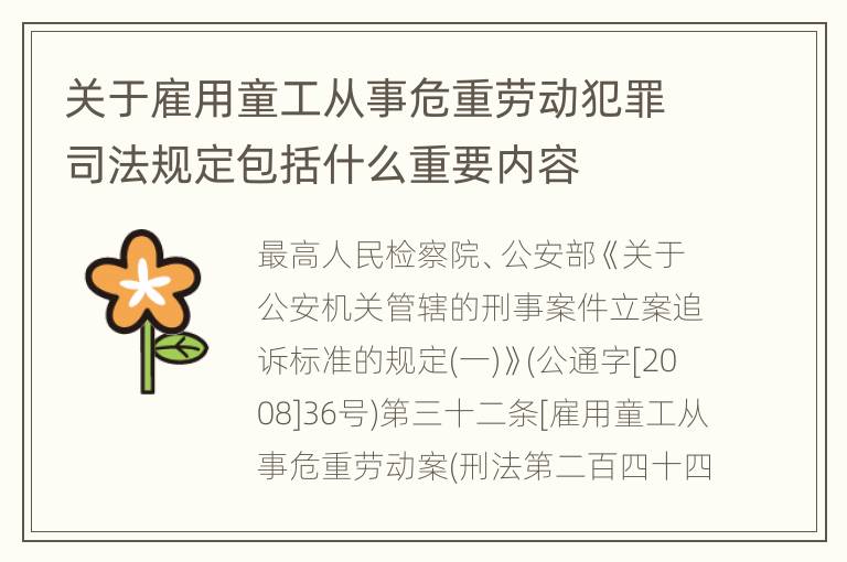 关于雇用童工从事危重劳动犯罪司法规定包括什么重要内容