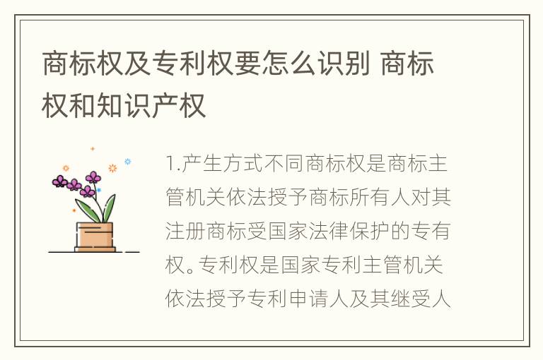 商标权及专利权要怎么识别 商标权和知识产权