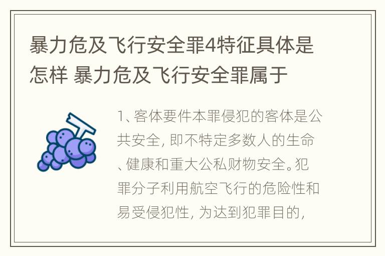 暴力危及飞行安全罪4特征具体是怎样 暴力危及飞行安全罪属于