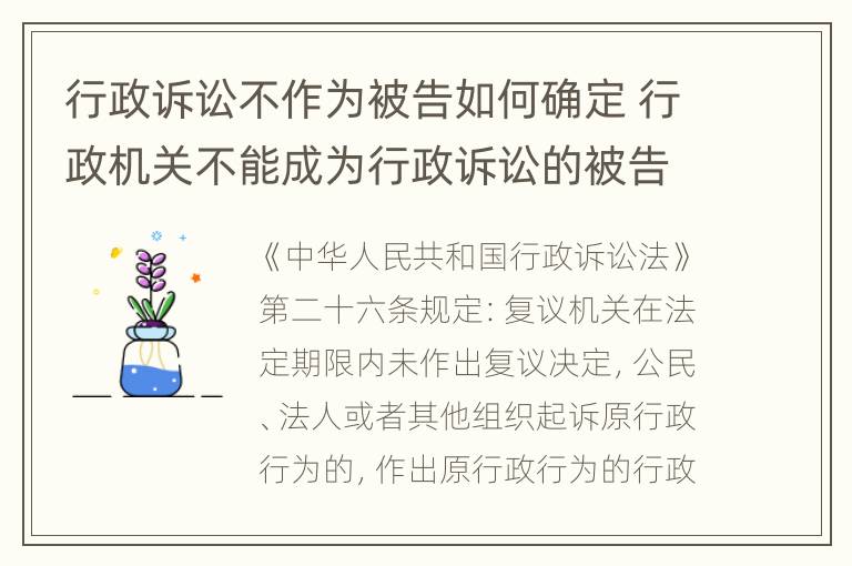 行政诉讼不作为被告如何确定 行政机关不能成为行政诉讼的被告是否正确