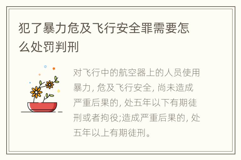 犯了暴力危及飞行安全罪需要怎么处罚判刑