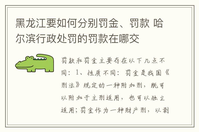 黑龙江要如何分别罚金、罚款 哈尔滨行政处罚的罚款在哪交