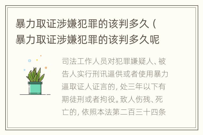 暴力取证涉嫌犯罪的该判多久（暴力取证涉嫌犯罪的该判多久呢）