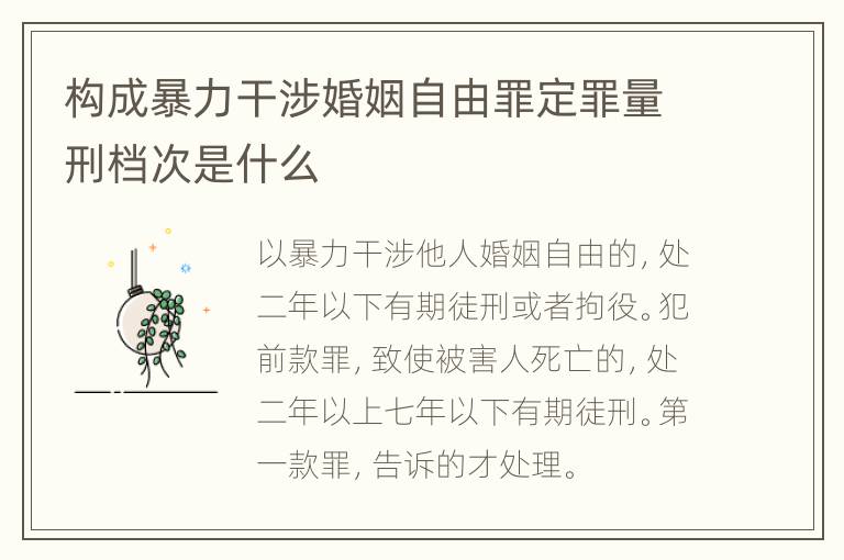 构成暴力干涉婚姻自由罪定罪量刑档次是什么