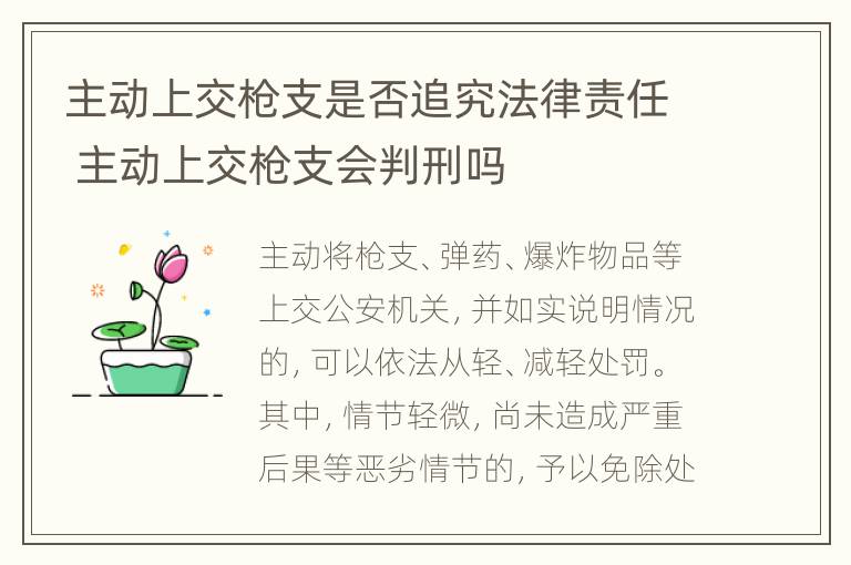 主动上交枪支是否追究法律责任 主动上交枪支会判刑吗