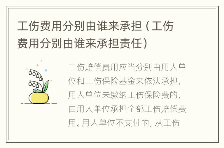 工伤费用分别由谁来承担（工伤费用分别由谁来承担责任）