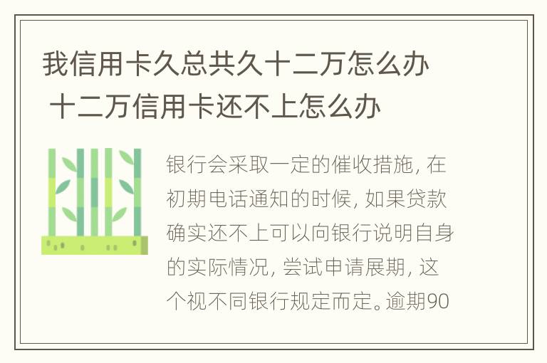 我信用卡久总共久十二万怎么办 十二万信用卡还不上怎么办