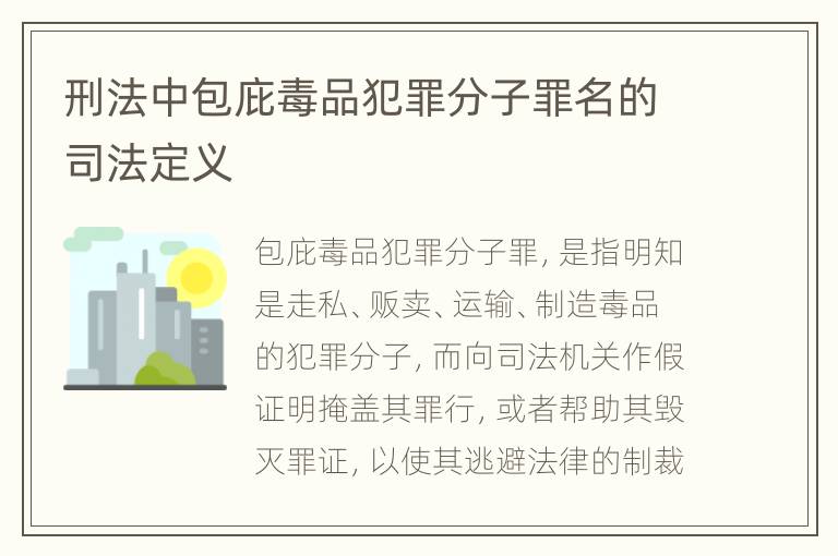 刑法中包庇毒品犯罪分子罪名的司法定义