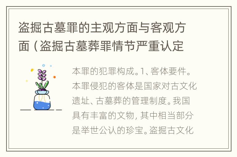 盗掘古墓罪的主观方面与客观方面（盗掘古墓葬罪情节严重认定）