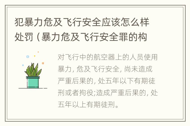 犯暴力危及飞行安全应该怎么样处罚（暴力危及飞行安全罪的构成要件）