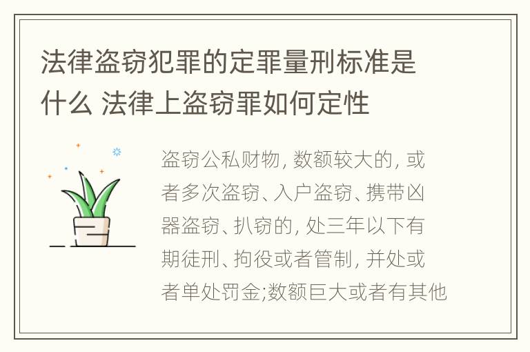 法律盗窃犯罪的定罪量刑标准是什么 法律上盗窃罪如何定性