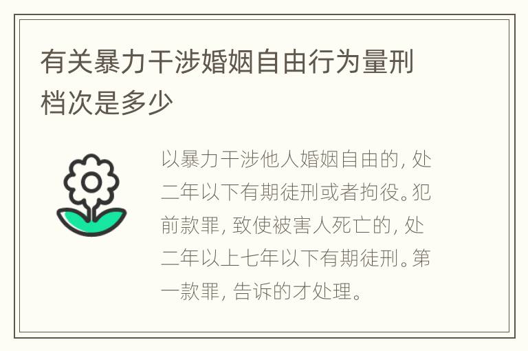 有关暴力干涉婚姻自由行为量刑档次是多少