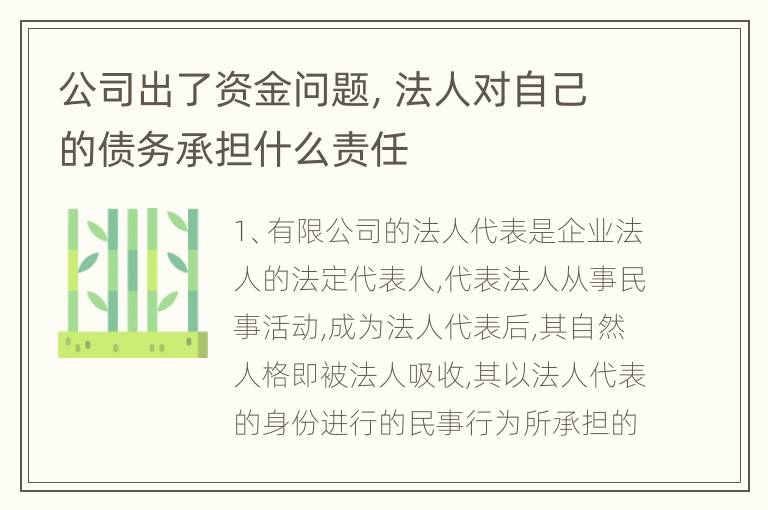 公司出了资金问题，法人对自己的债务承担什么责任