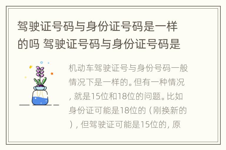 驾驶证号码与身份证号码是一样的吗 驾驶证号码与身份证号码是一样的吗怎么查