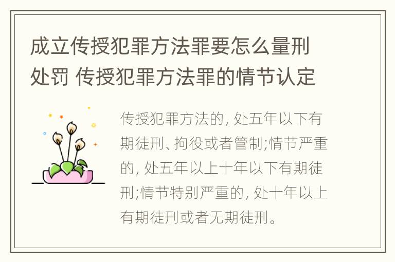 成立传授犯罪方法罪要怎么量刑处罚 传授犯罪方法罪的情节认定