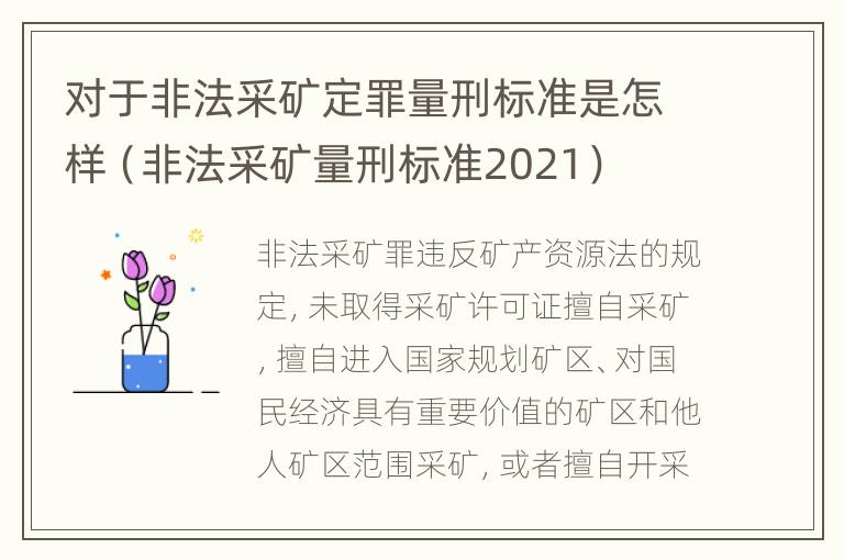 对于非法采矿定罪量刑标准是怎样（非法采矿量刑标准2021）