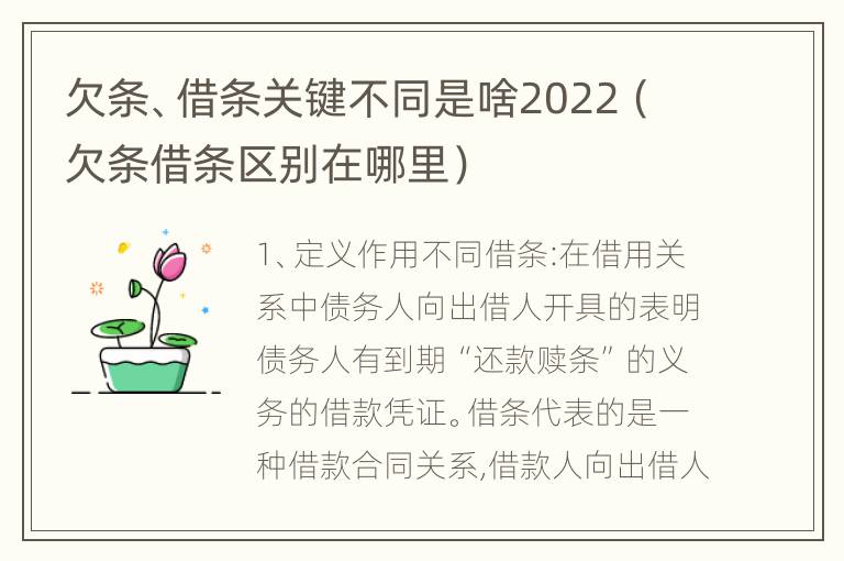 欠条、借条关键不同是啥2022（欠条借条区别在哪里）