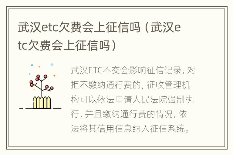 武汉etc欠费会上征信吗（武汉etc欠费会上征信吗）