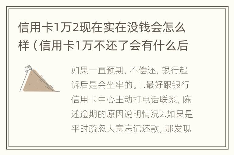 信用卡1万2现在实在没钱会怎么样（信用卡1万不还了会有什么后果）