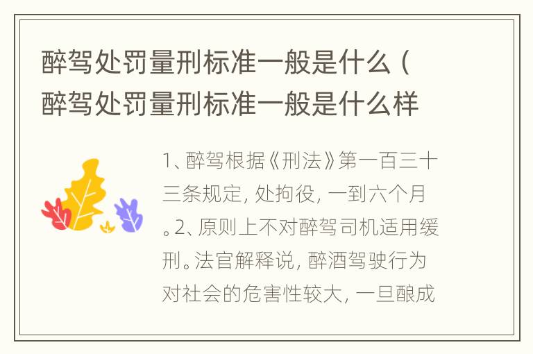 醉驾处罚量刑标准一般是什么（醉驾处罚量刑标准一般是什么样的）