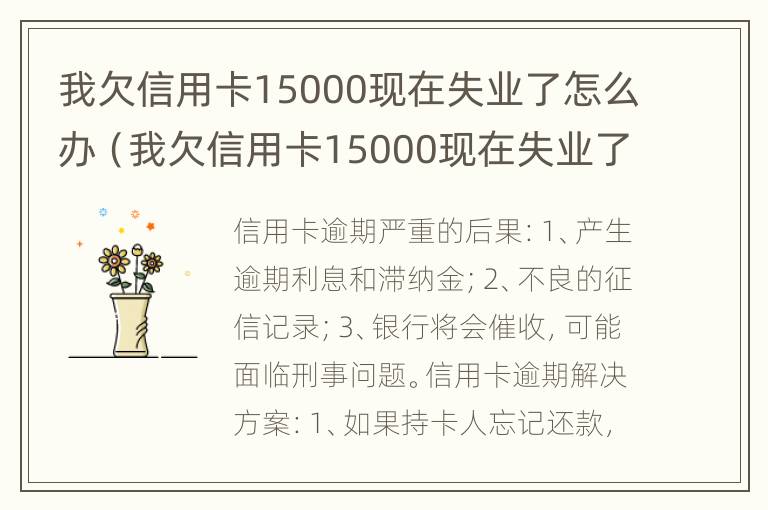 我欠信用卡15000现在失业了怎么办（我欠信用卡15000现在失业了怎么办理）