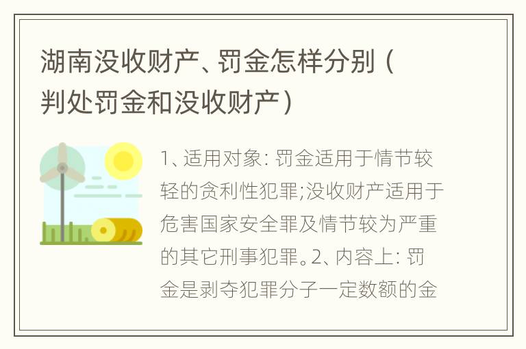 湖南没收财产、罚金怎样分别（判处罚金和没收财产）