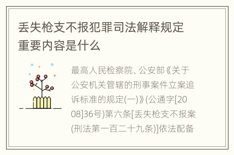 丢失枪支不报犯罪司法解释规定重要内容是什么