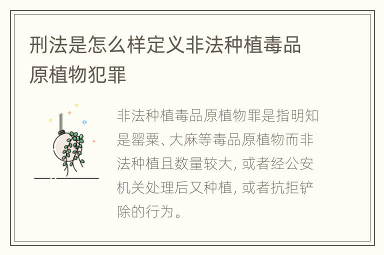 刑法是怎么样定义非法种植毒品原植物犯罪