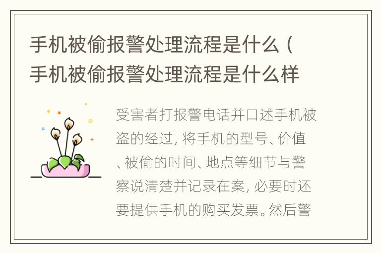 手机被偷报警处理流程是什么（手机被偷报警处理流程是什么样子的）