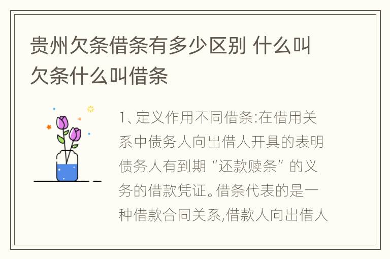 贵州欠条借条有多少区别 什么叫欠条什么叫借条