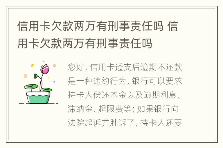 信用卡欠款两万有刑事责任吗 信用卡欠款两万有刑事责任吗