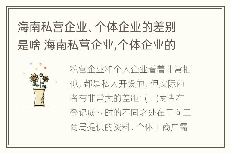 海南私营企业、个体企业的差别是啥 海南私营企业,个体企业的差别是啥