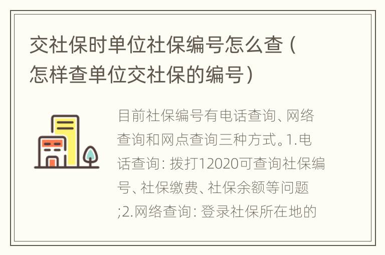 交社保时单位社保编号怎么查（怎样查单位交社保的编号）