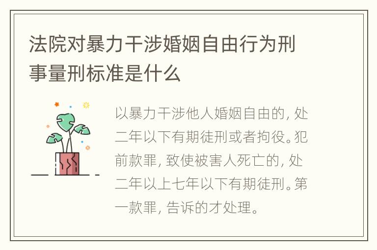 法院对暴力干涉婚姻自由行为刑事量刑标准是什么