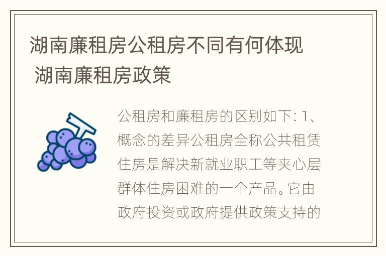 湖南廉租房公租房不同有何体现 湖南廉租房政策