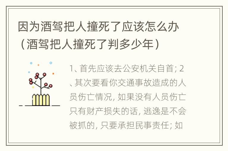 因为酒驾把人撞死了应该怎么办（酒驾把人撞死了判多少年）