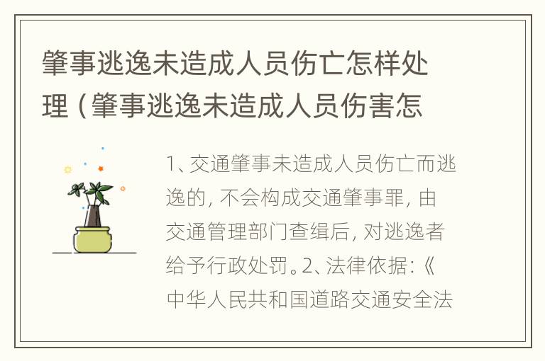 肇事逃逸未造成人员伤亡怎样处理（肇事逃逸未造成人员伤害怎么处罚新交规）