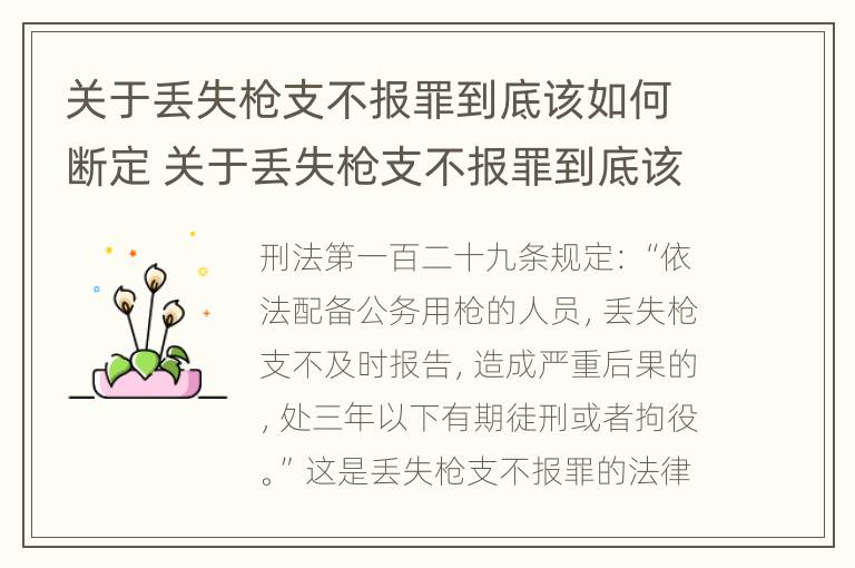 关于丢失枪支不报罪到底该如何断定 关于丢失枪支不报罪到底该如何断定罪名