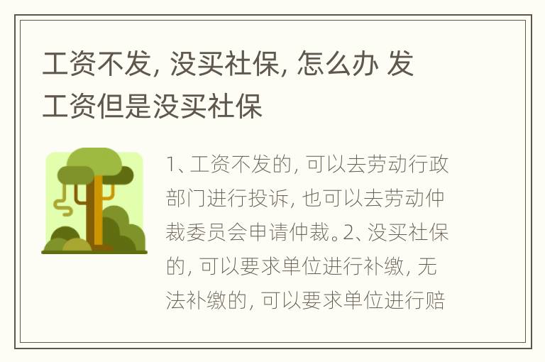 工资不发，没买社保，怎么办 发工资但是没买社保