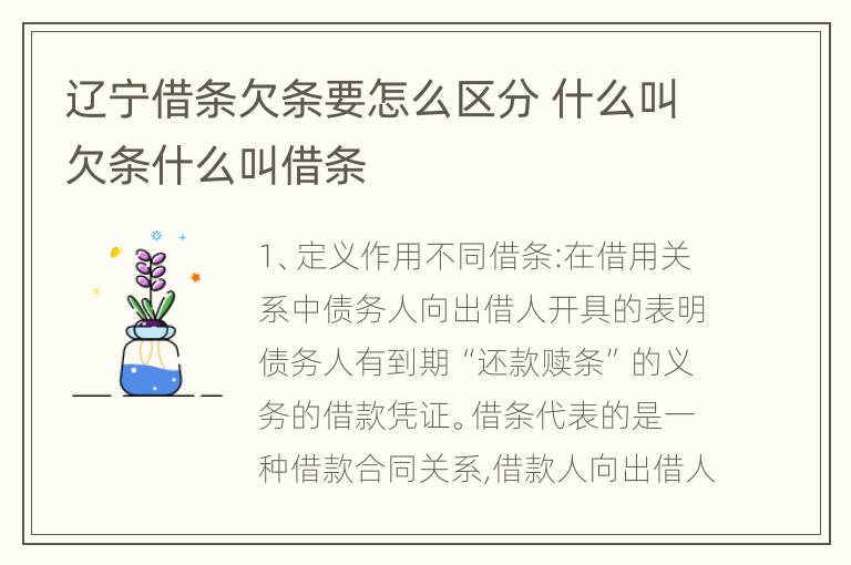 辽宁借条欠条要怎么区分 什么叫欠条什么叫借条